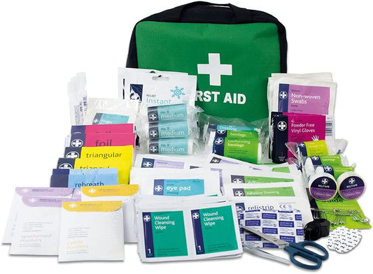 Lewis-Plast Premium All Purpose 309 Piece First Aid Kit